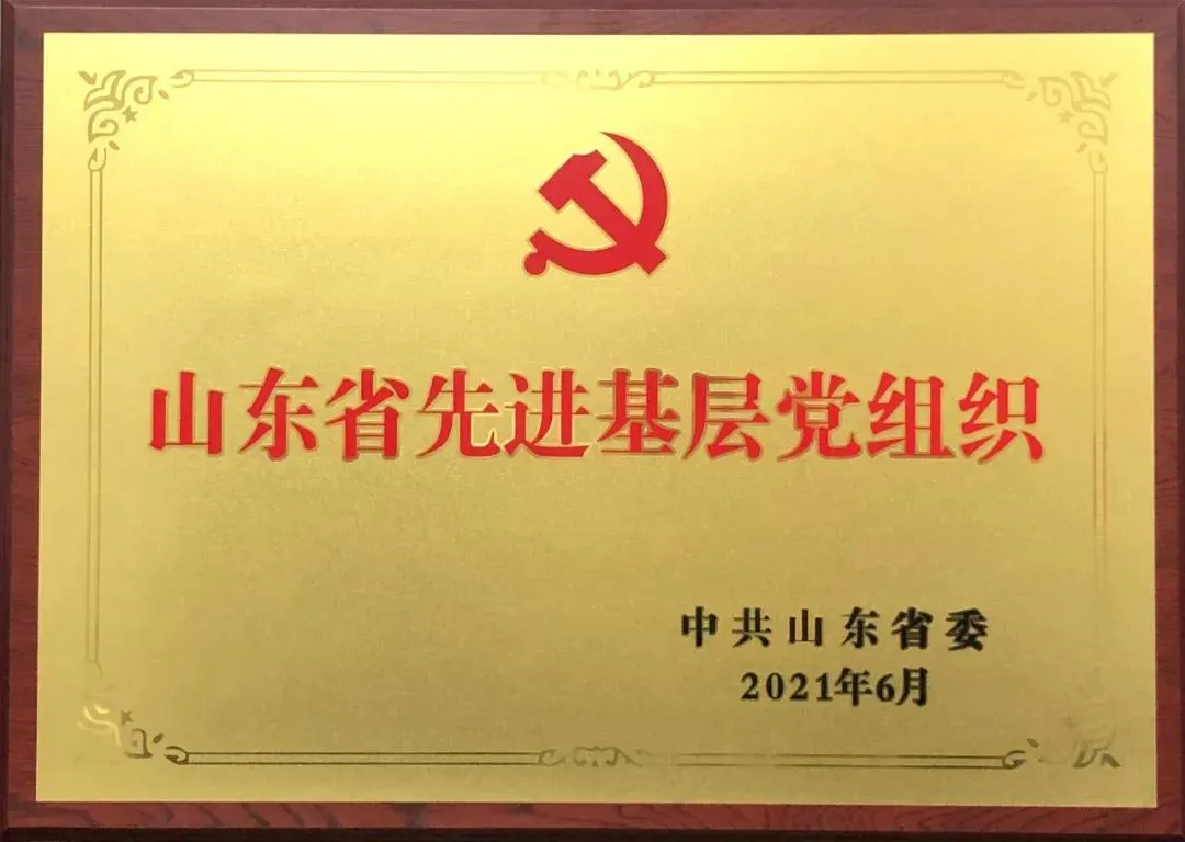 喜報(bào)|浩信集團(tuán)黨支部榮獲“山東省先進(jìn)基層黨組織”榮譽(yù)稱號